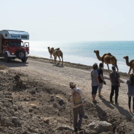Iran - Snowmads Qeshm